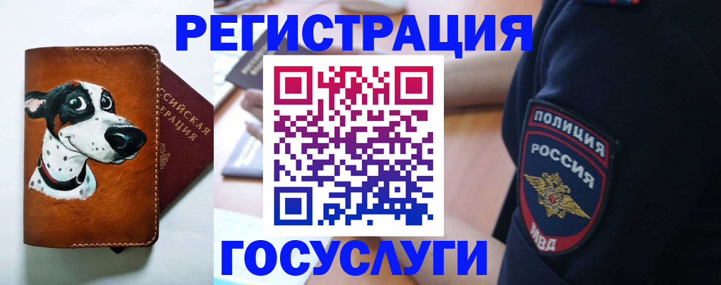 временная регистрация в квартире в Вольске